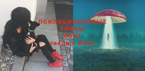 прущая мука Алзамай