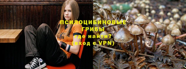 кокаин премиум Алексин
